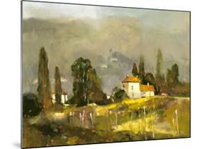 Tuscan Valley-Ted Goerschner-Mounted Giclee Print