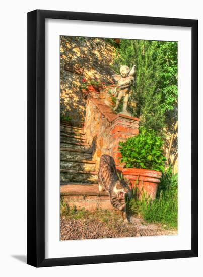 Tuscan Vertical Cat on Stairs-Robert Goldwitz-Framed Photographic Print