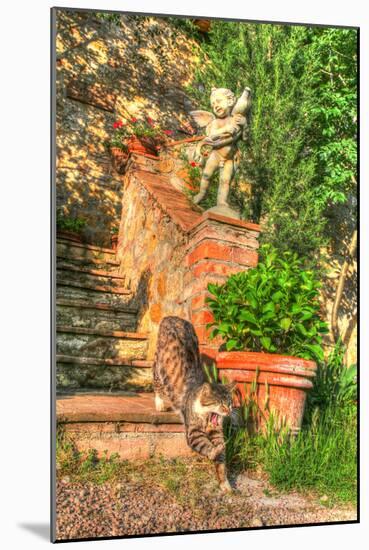 Tuscan Vertical Cat on Stairs-Robert Goldwitz-Mounted Photographic Print