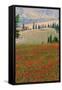 Tuscan Vertical Poppies-Robert Goldwitz-Framed Stretched Canvas