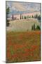 Tuscan Vertical Poppies-Robert Goldwitz-Mounted Photographic Print