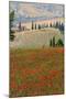 Tuscan Vertical Poppies-Robert Goldwitz-Mounted Photographic Print