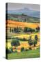 Tuscan Vertical Switchbacks-Robert Goldwitz-Stretched Canvas