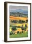 Tuscan Vertical Switchbacks-Robert Goldwitz-Framed Photographic Print