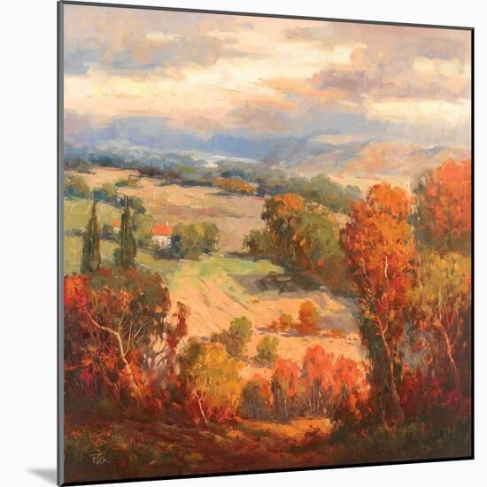 Tuscan View-K. Park-Mounted Art Print