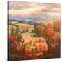 Tuscan View-K. Park-Stretched Canvas