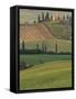 Tuscan Villa and Farmhouse, San Quirico D'Orcia, Val d'Orcia, Italy-Walter Bibikow-Framed Stretched Canvas