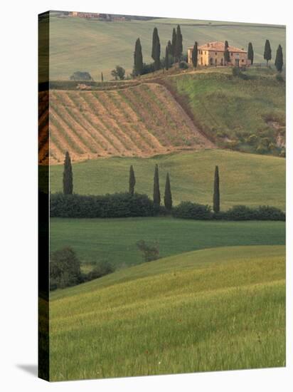 Tuscan Villa and Farmhouse, San Quirico D'Orcia, Val d'Orcia, Italy-Walter Bibikow-Stretched Canvas