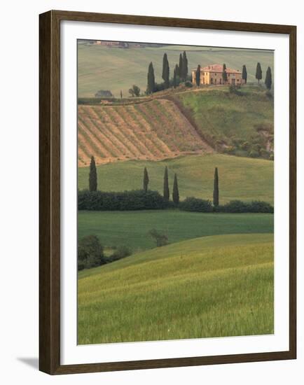 Tuscan Villa and Farmhouse, San Quirico D'Orcia, Val d'Orcia, Italy-Walter Bibikow-Framed Premium Photographic Print
