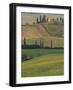 Tuscan Villa and Farmhouse, San Quirico D'Orcia, Val d'Orcia, Italy-Walter Bibikow-Framed Photographic Print