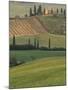 Tuscan Villa and Farmhouse, San Quirico D'Orcia, Val d'Orcia, Italy-Walter Bibikow-Mounted Photographic Print
