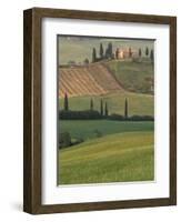 Tuscan Villa and Farmhouse, San Quirico D'Orcia, Val d'Orcia, Italy-Walter Bibikow-Framed Photographic Print