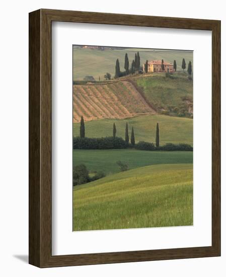 Tuscan Villa and Farmhouse, San Quirico D'Orcia, Val d'Orcia, Italy-Walter Bibikow-Framed Photographic Print