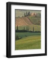 Tuscan Villa and Farmhouse, San Quirico D'Orcia, Val d'Orcia, Italy-Walter Bibikow-Framed Photographic Print