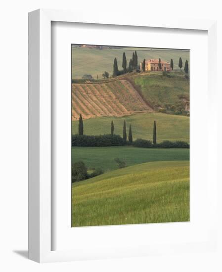 Tuscan Villa and Farmhouse, San Quirico D'Orcia, Val d'Orcia, Italy-Walter Bibikow-Framed Photographic Print
