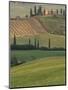 Tuscan Villa and Farmhouse, San Quirico D'Orcia, Val d'Orcia, Italy-Walter Bibikow-Mounted Photographic Print