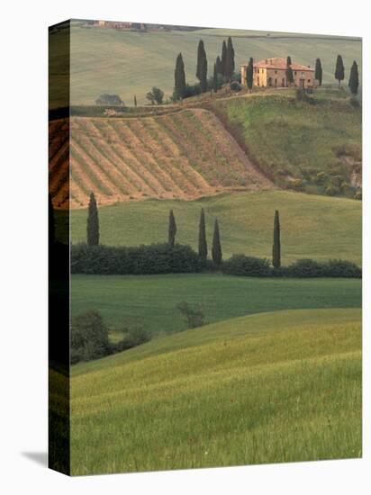 Tuscan Villa and Farmhouse, San Quirico D'Orcia, Val d'Orcia, Italy-Walter Bibikow-Stretched Canvas