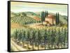 Tuscan Villa and Vineyard-Marilyn Dunlap-Framed Stretched Canvas