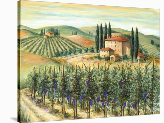 Tuscan Villa and Vineyard-Marilyn Dunlap-Stretched Canvas