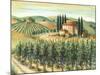 Tuscan Villa and Vineyard-Marilyn Dunlap-Mounted Art Print