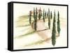 Tuscan Villa III-Jennifer Paxton Parker-Framed Stretched Canvas