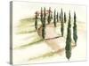 Tuscan Villa III-Jennifer Paxton Parker-Stretched Canvas