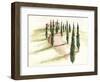 Tuscan Villa III-Jennifer Paxton Parker-Framed Art Print