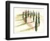 Tuscan Villa III-Jennifer Paxton Parker-Framed Art Print