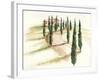 Tuscan Villa III-Jennifer Paxton Parker-Framed Art Print