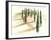 Tuscan Villa III-Jennifer Paxton Parker-Framed Art Print