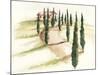 Tuscan Villa III-Jennifer Paxton Parker-Mounted Art Print