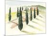 Tuscan Villa IV-Jennifer Paxton Parker-Mounted Art Print