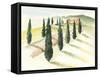 Tuscan Villa IV-Jennifer Paxton Parker-Framed Stretched Canvas