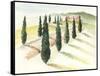 Tuscan Villa IV-Jennifer Paxton Parker-Framed Stretched Canvas