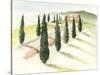 Tuscan Villa IV-Jennifer Paxton Parker-Stretched Canvas