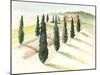 Tuscan Villa IV-Jennifer Paxton Parker-Mounted Art Print