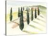 Tuscan Villa IV-Jennifer Paxton Parker-Stretched Canvas