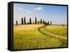 Tuscan Villa Nearing Harvest, Tuscany, Italy-Terry Eggers-Framed Stretched Canvas