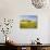 Tuscan Villa Nearing Harvest, Tuscany, Italy-Terry Eggers-Stretched Canvas displayed on a wall