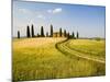 Tuscan Villa Nearing Harvest, Tuscany, Italy-Terry Eggers-Mounted Photographic Print
