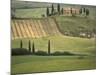 Tuscan Villa, Val d'Orcia, Italy-Walter Bibikow-Mounted Photographic Print