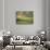 Tuscan Villa, Val d'Orcia, Italy-Walter Bibikow-Photographic Print displayed on a wall