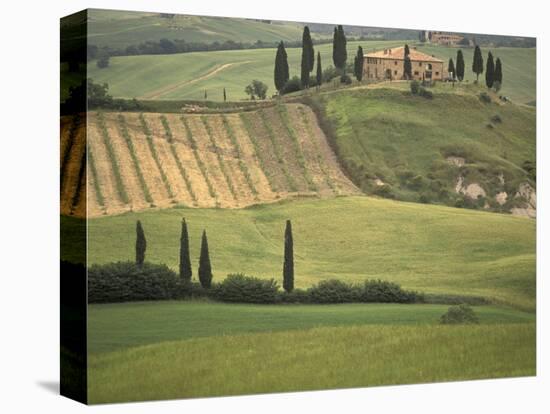 Tuscan Villa, Val d'Orcia, Italy-Walter Bibikow-Stretched Canvas