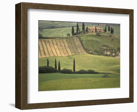 Tuscan Villa, Val d'Orcia, Italy-Walter Bibikow-Framed Photographic Print