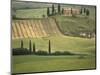 Tuscan Villa, Val d'Orcia, Italy-Walter Bibikow-Mounted Photographic Print