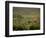 Tuscan Villa View, Radda in Chianti, II Chianti, Tuscany, Italy-Walter Bibikow-Framed Photographic Print