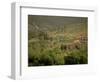 Tuscan Villa View, Radda in Chianti, II Chianti, Tuscany, Italy-Walter Bibikow-Framed Photographic Print