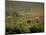 Tuscan Villa View, Radda in Chianti, II Chianti, Tuscany, Italy-Walter Bibikow-Mounted Photographic Print