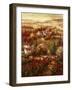 Tuscan Village-Hulsey-Framed Art Print