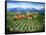 Tuscan Vineyard and Abbey-Marilyn Dunlap-Framed Stretched Canvas